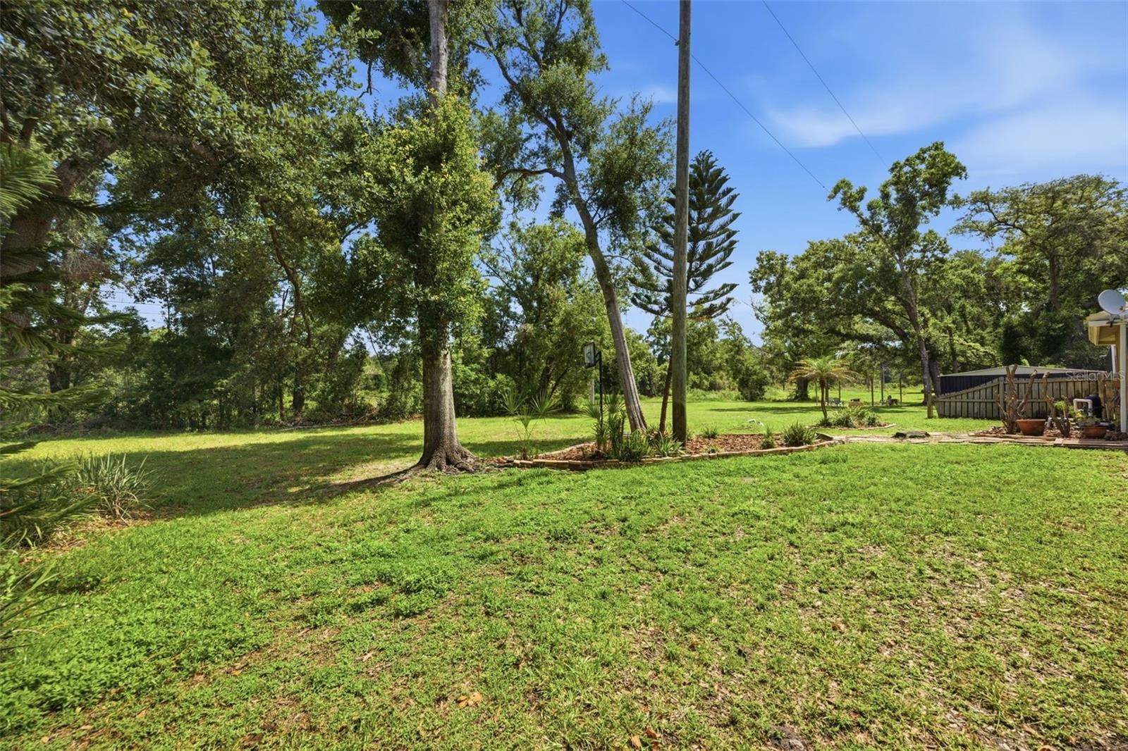 504 STRATFIELD DR, LUTZ, FL — photo 64
