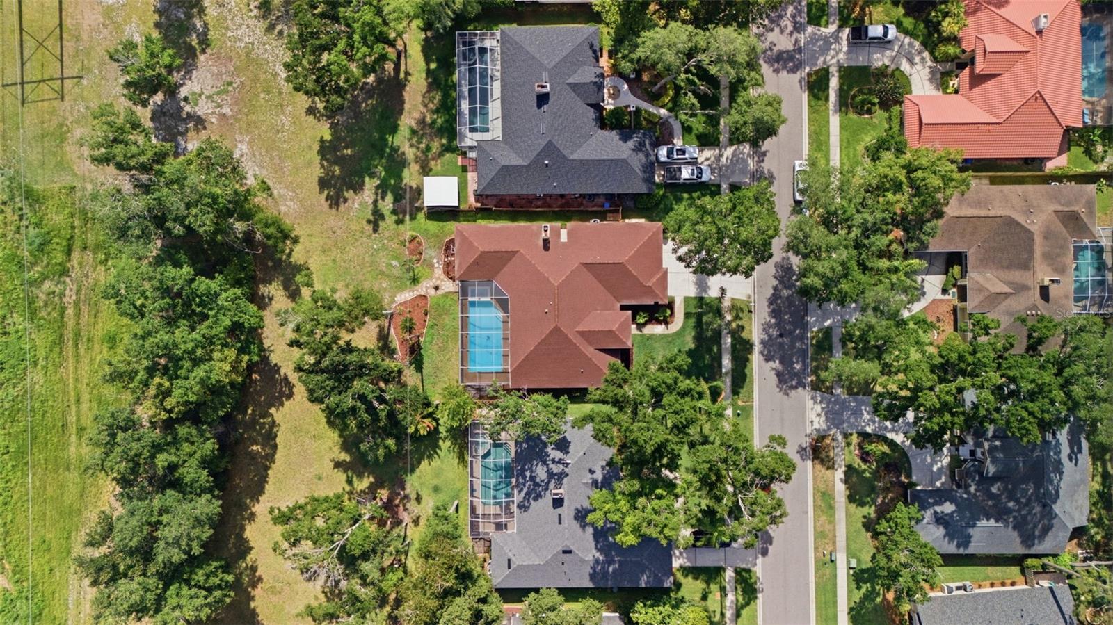 504 STRATFIELD DR, LUTZ, FL — photo 65