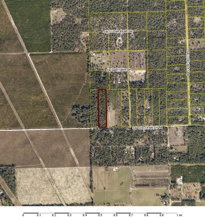 SW OLD SPANISH RD, FORT WHITE, FL