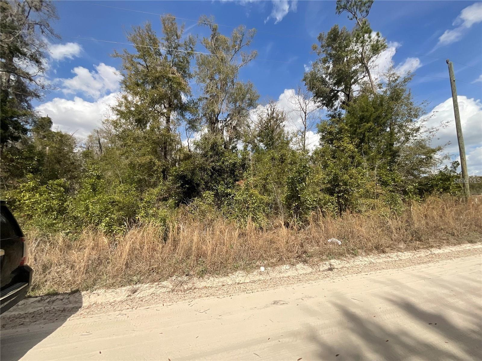 SW OLD SPANISH RD, FORT WHITE, FL — photo 2
