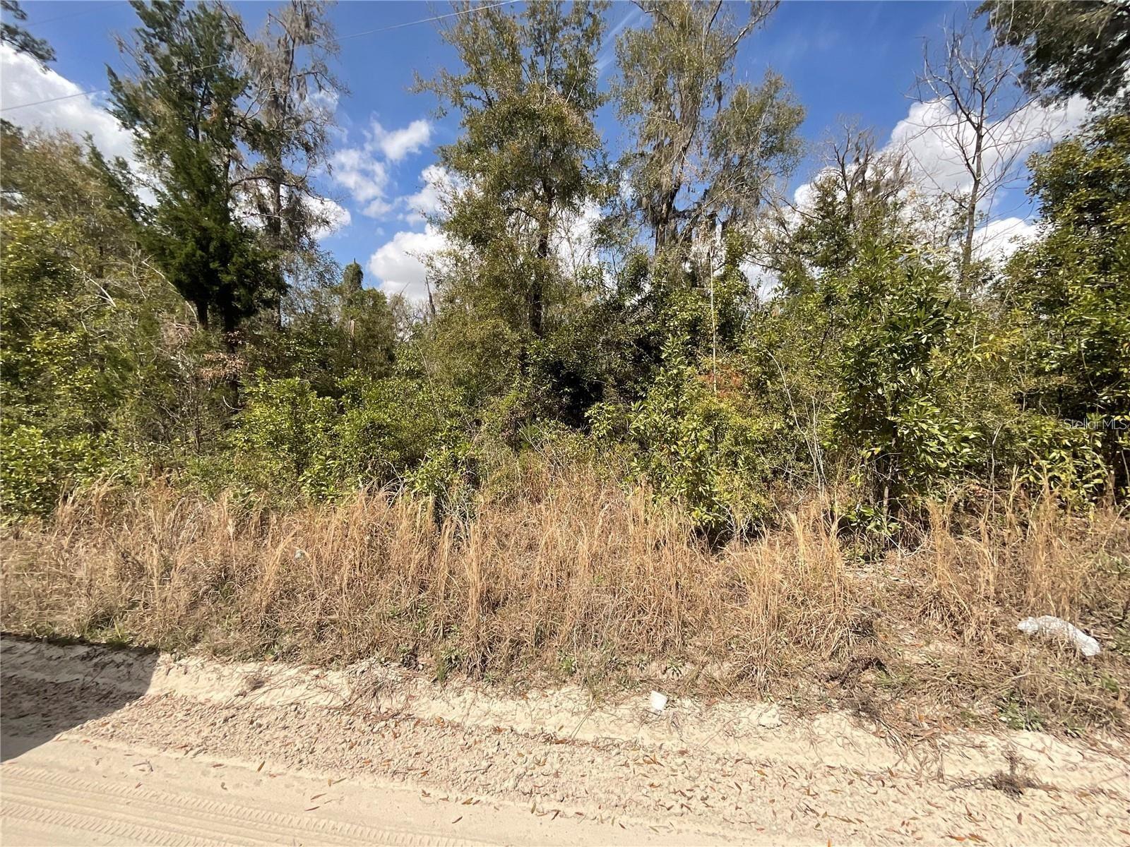 SW OLD SPANISH RD, FORT WHITE, FL — photo 3