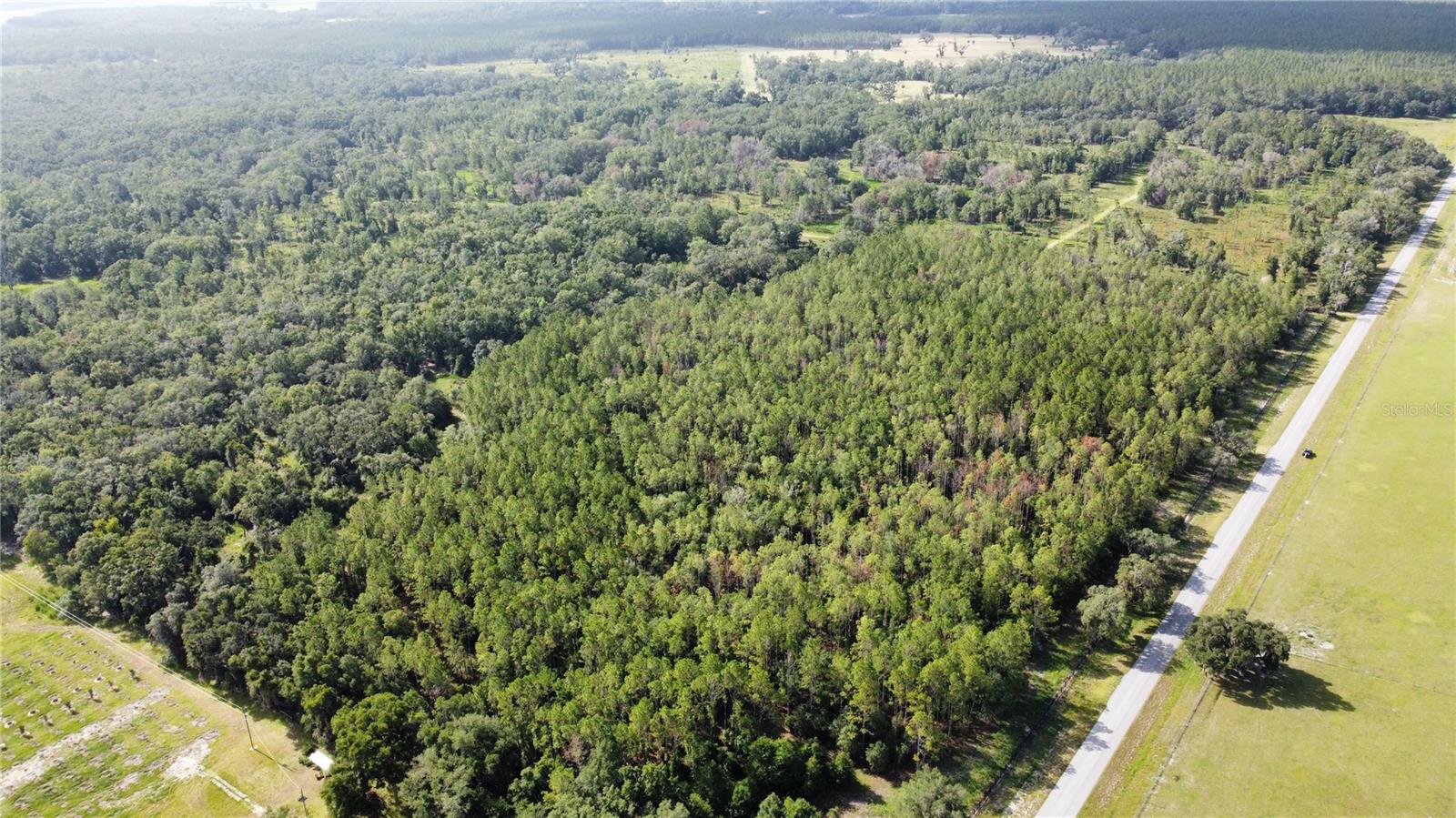 NE HWY 353, OLD TOWN, FL — photo 11