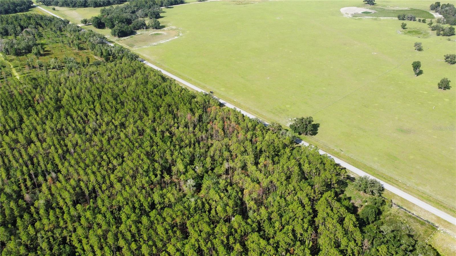 NE HWY 353, OLD TOWN, FL — photo 16