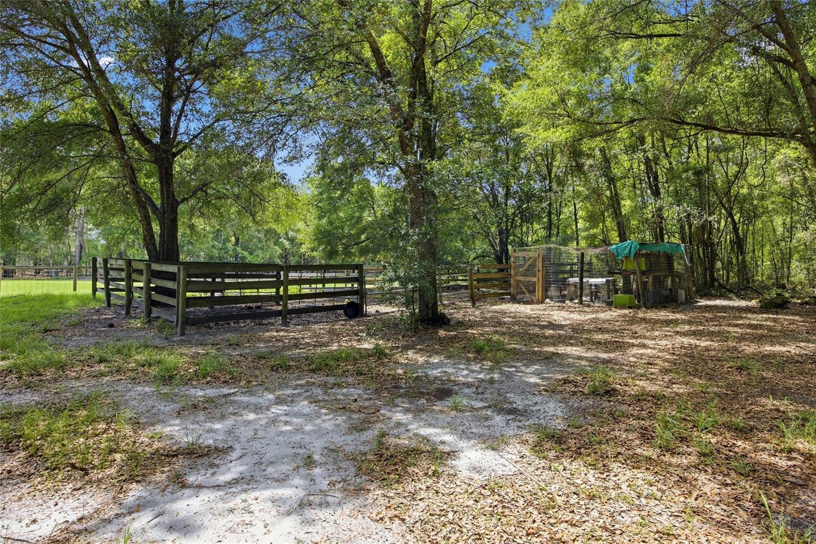 7050 NE STATE ROAD 121, WILLISTON, FL — photo 39