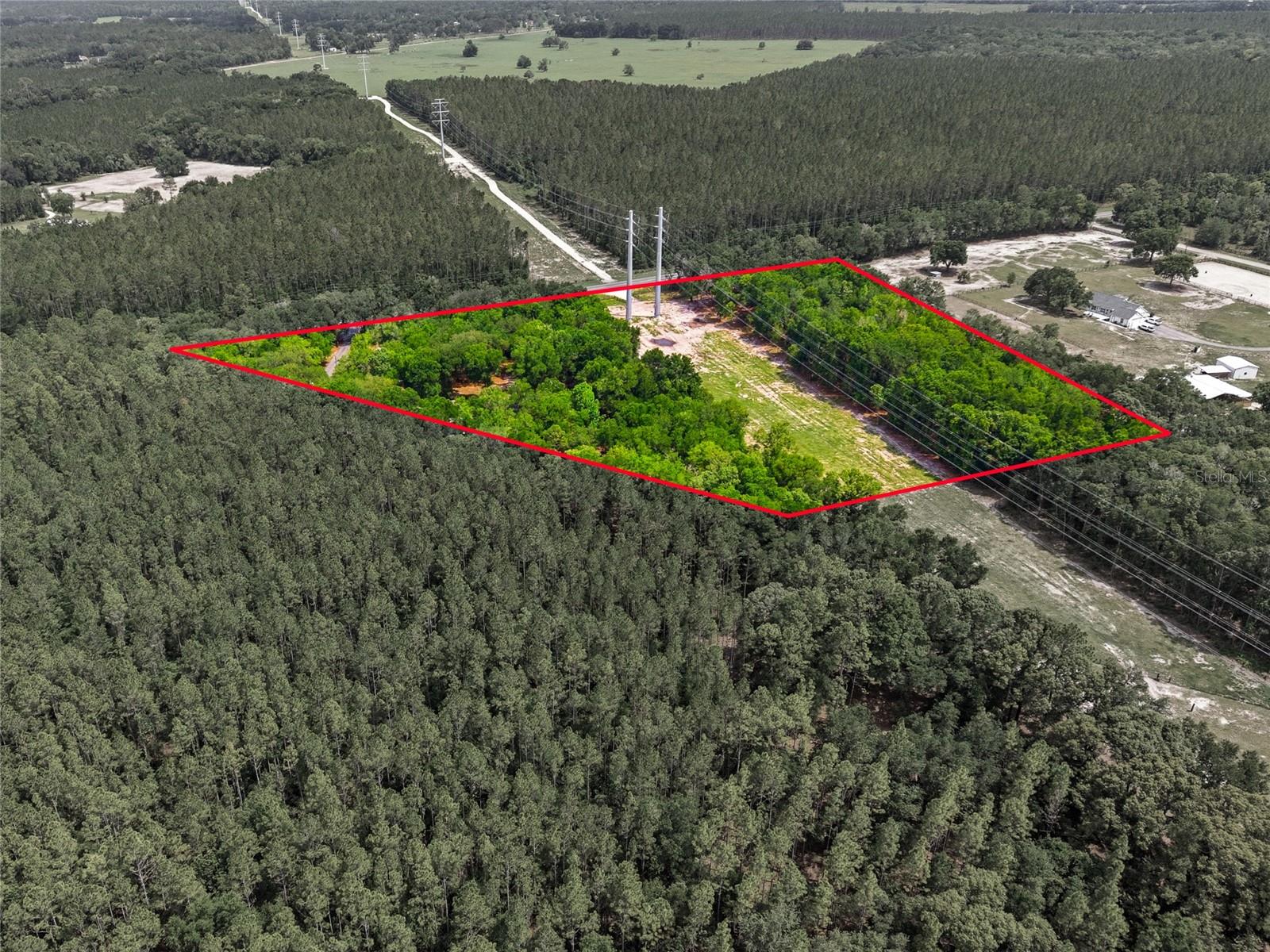 7050 NE STATE ROAD 121, WILLISTON, FL — photo 48