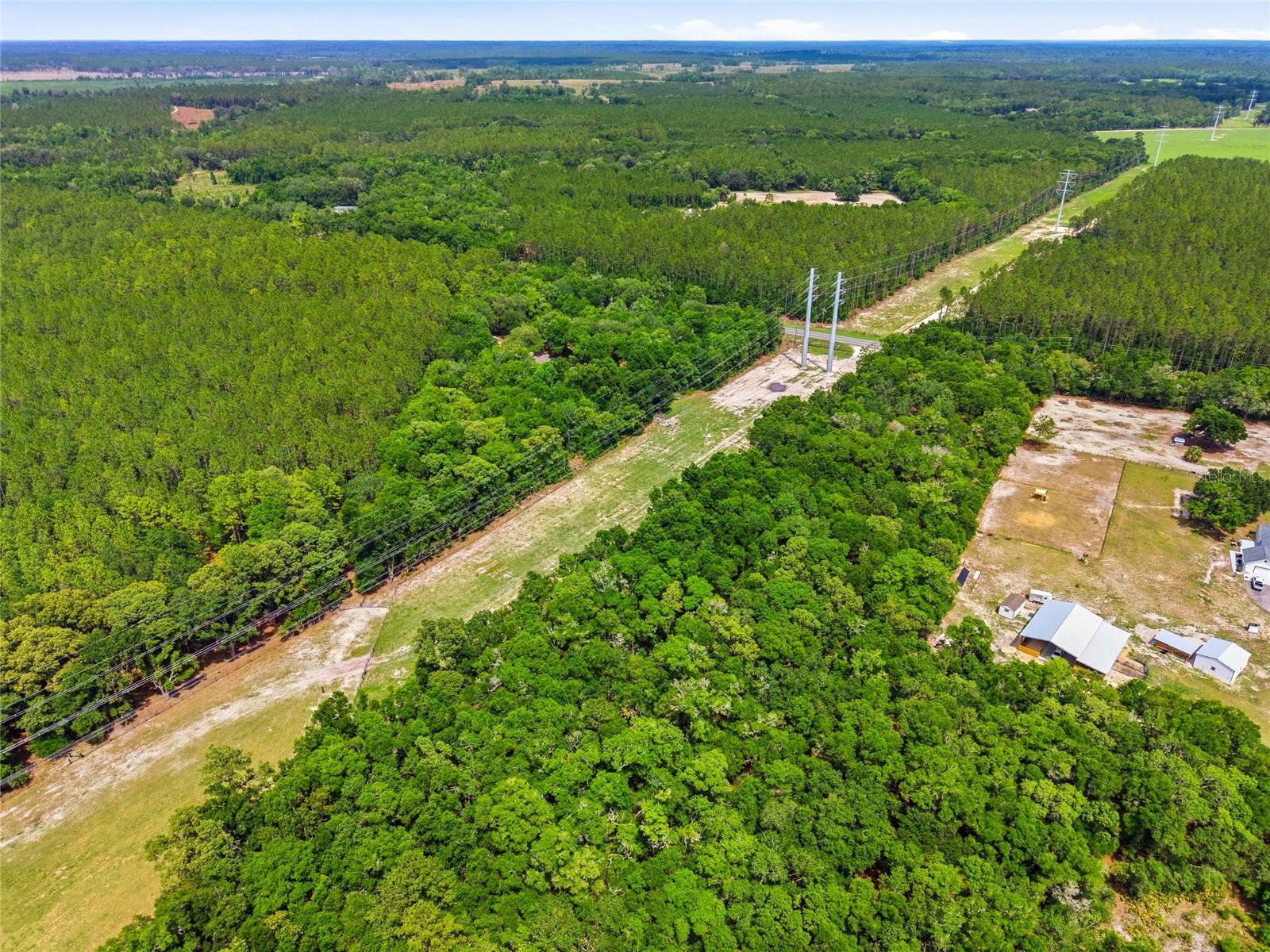 7050 NE STATE ROAD 121, WILLISTON, FL — photo 51