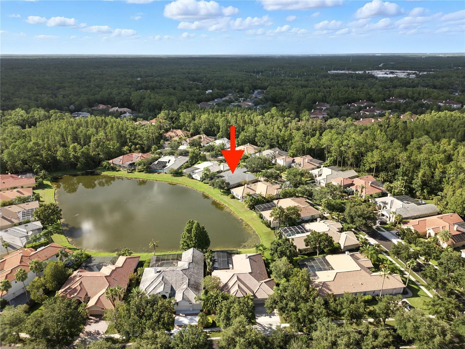 17210 BROADOAK DR, TAMPA, FL — photo 2