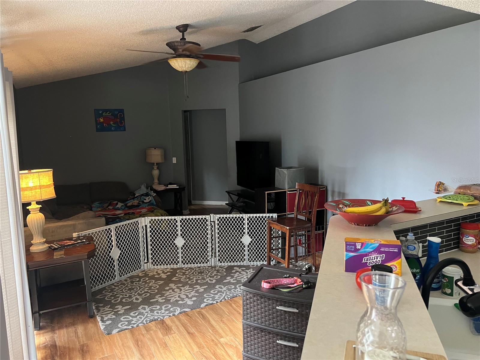 69 RAEMOOR DR, PALM COAST, FL — photo 2