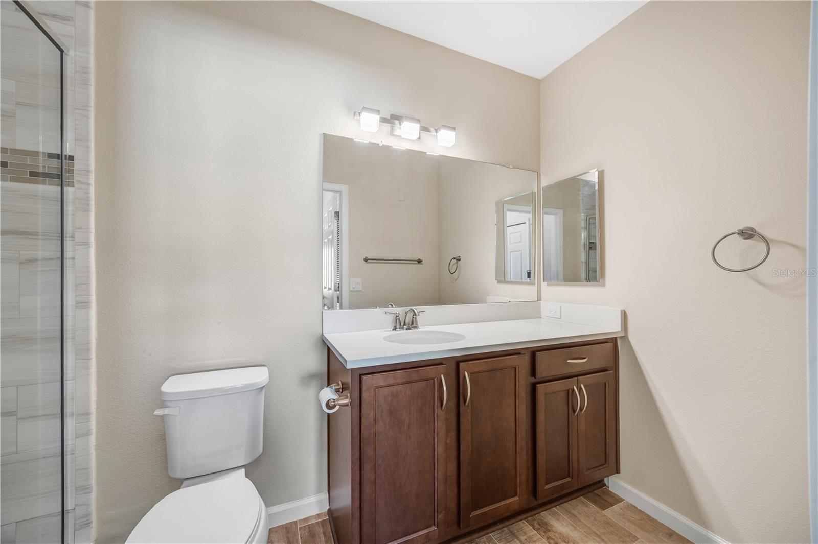 1231 GODAVARI WAY #203, WESLEY CHAPEL, FL — photo 12