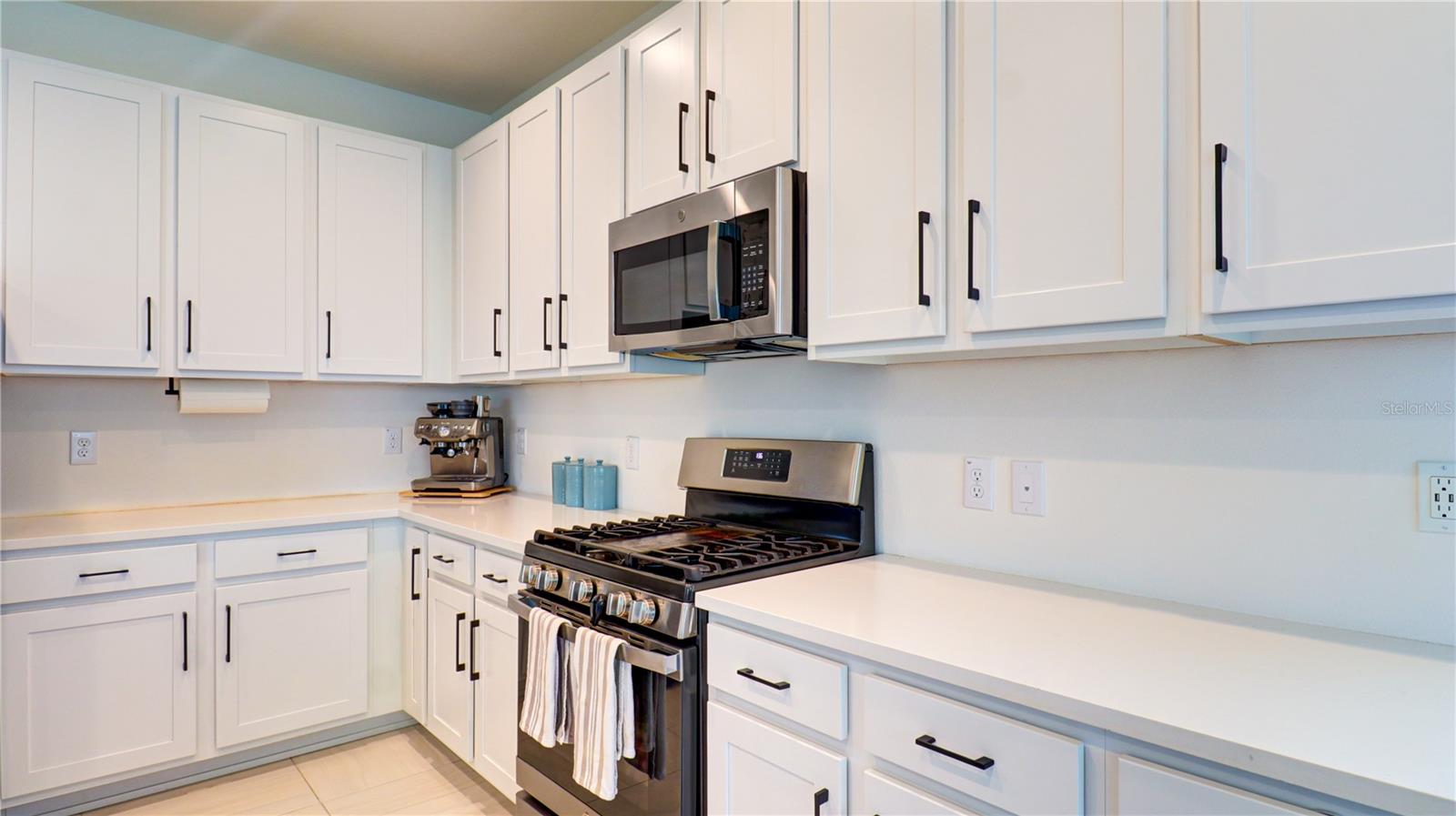 3338 GREAT BANYAN WAY, WESLEY CHAPEL, FL — photo 19