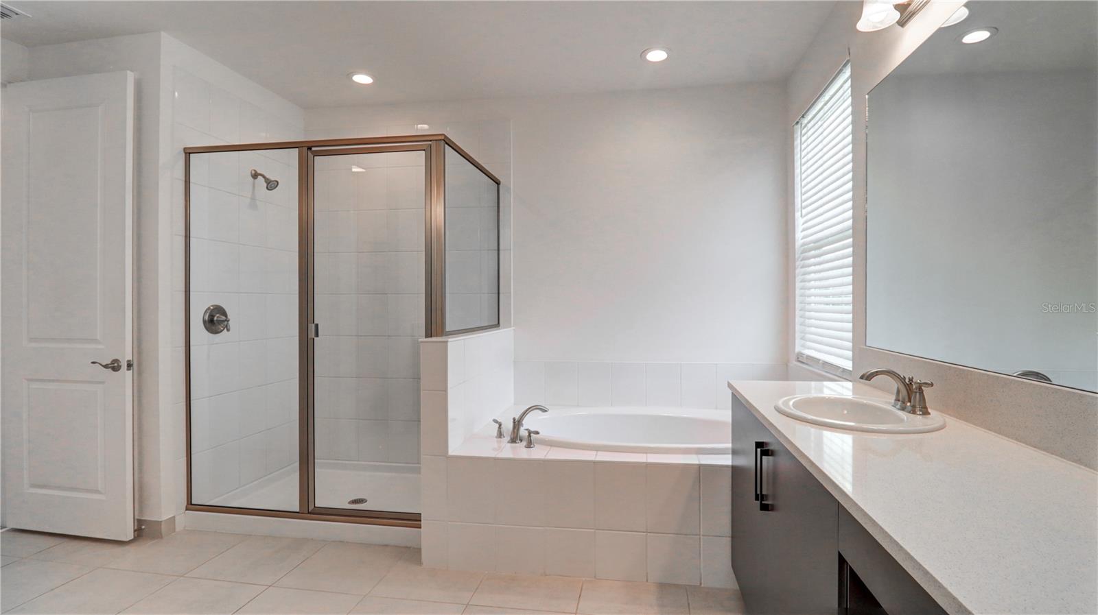 3338 GREAT BANYAN WAY, WESLEY CHAPEL, FL — photo 37