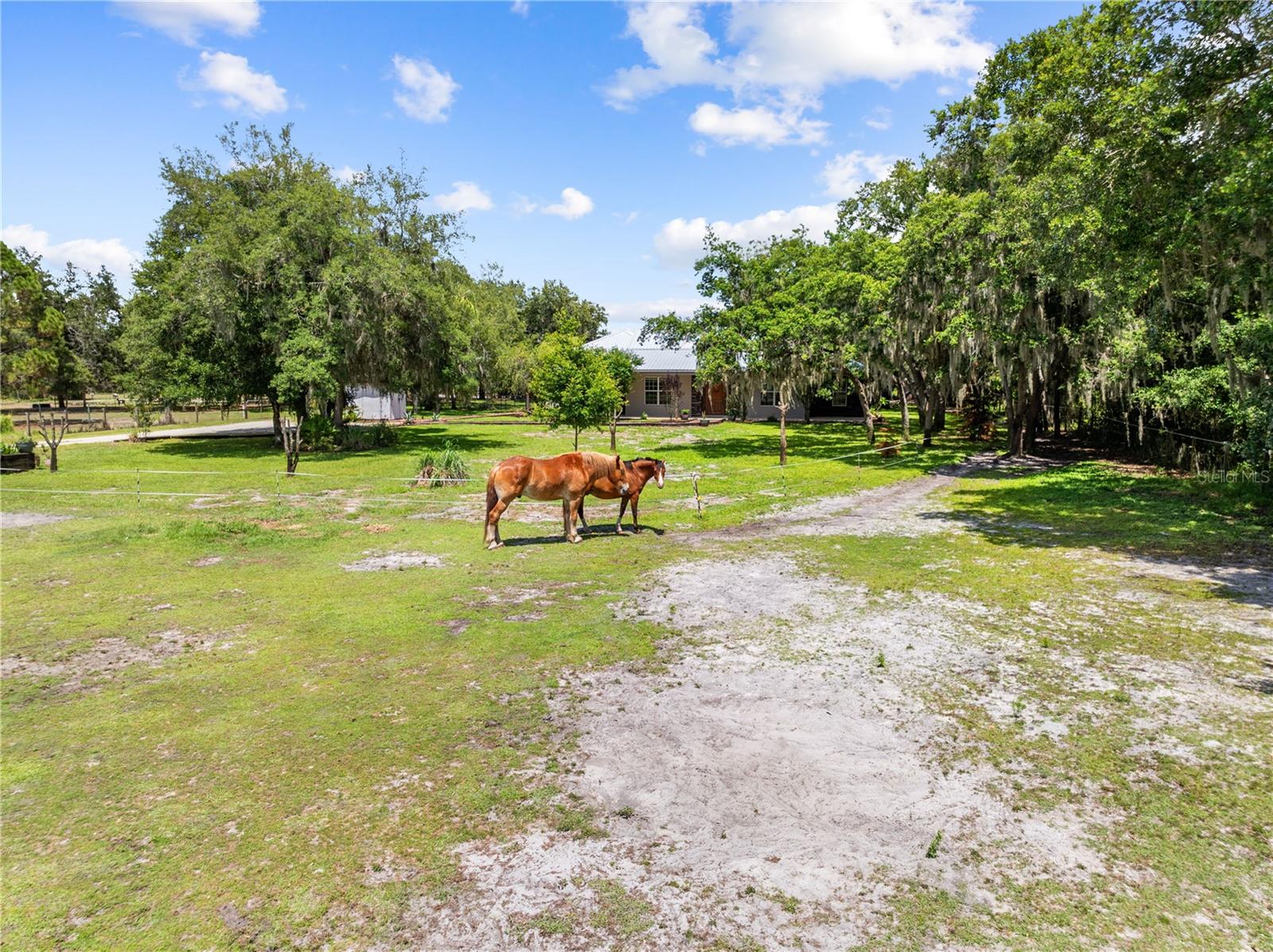 4295 RAMBLER AVE, ST CLOUD, FL — photo 96