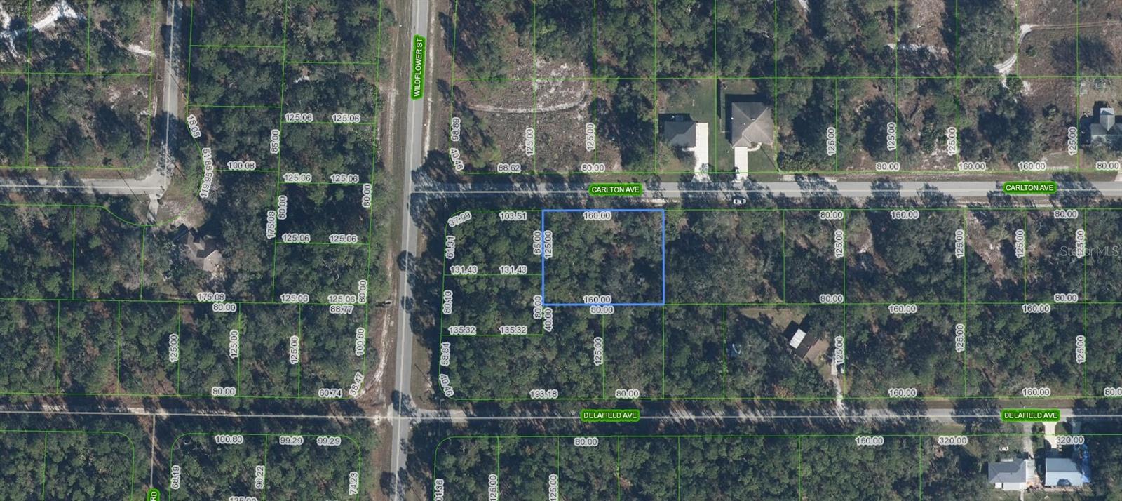 3154 CARLTON AVE, LAKE PLACID, FL
