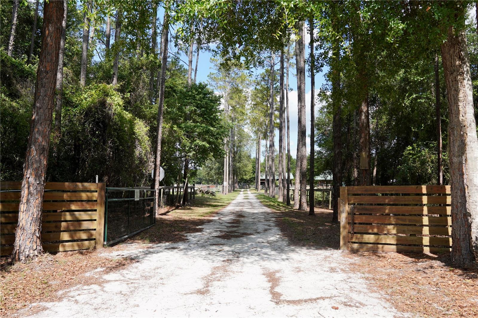 7191 NE 150TH AVE, WILLISTON, FL — photo 4