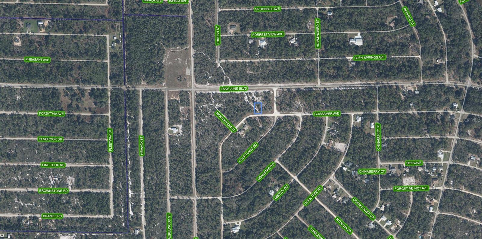 3324 GOSSAMER AVE, LAKE PLACID, FL — photo 3