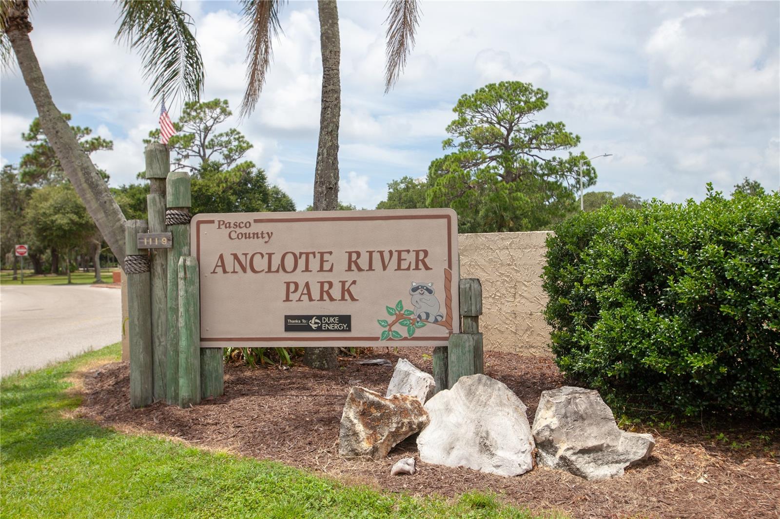 2740 HAMBLE VILLAGE LN, PALM HARBOR, FL — photo 60