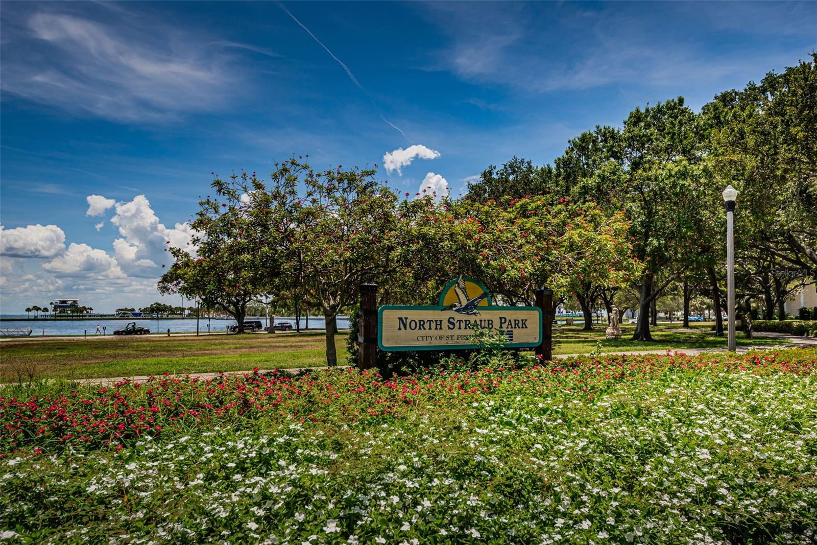 732 and 732 1/2 NE OAK ST, ST PETERSBURG, FL — photo 87