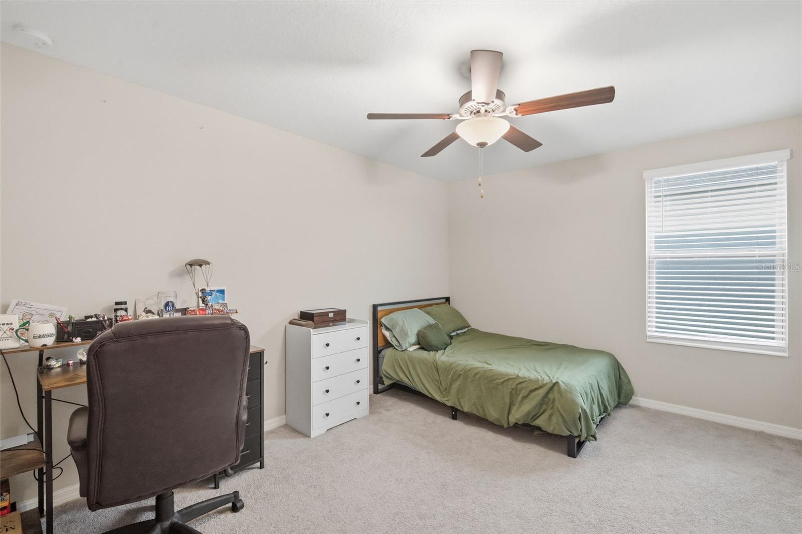 4808 WILD SENNA BLVD, TAMPA, FL — photo 40