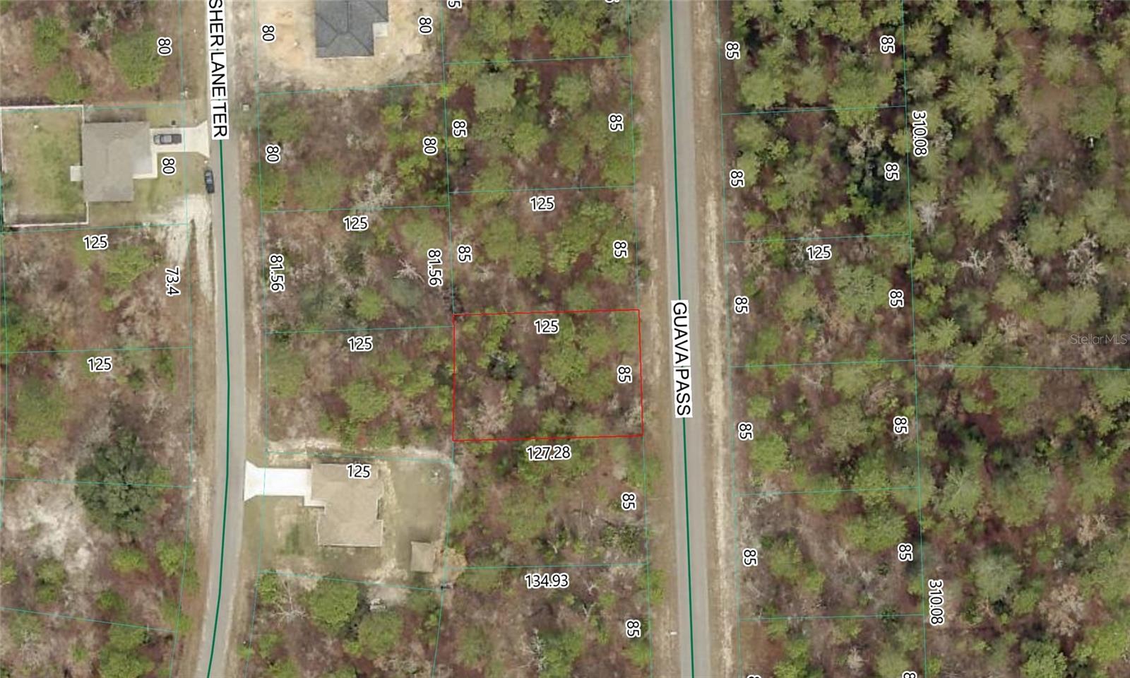 GUAVA PASS LOT 10, OCKLAWAHA, FL