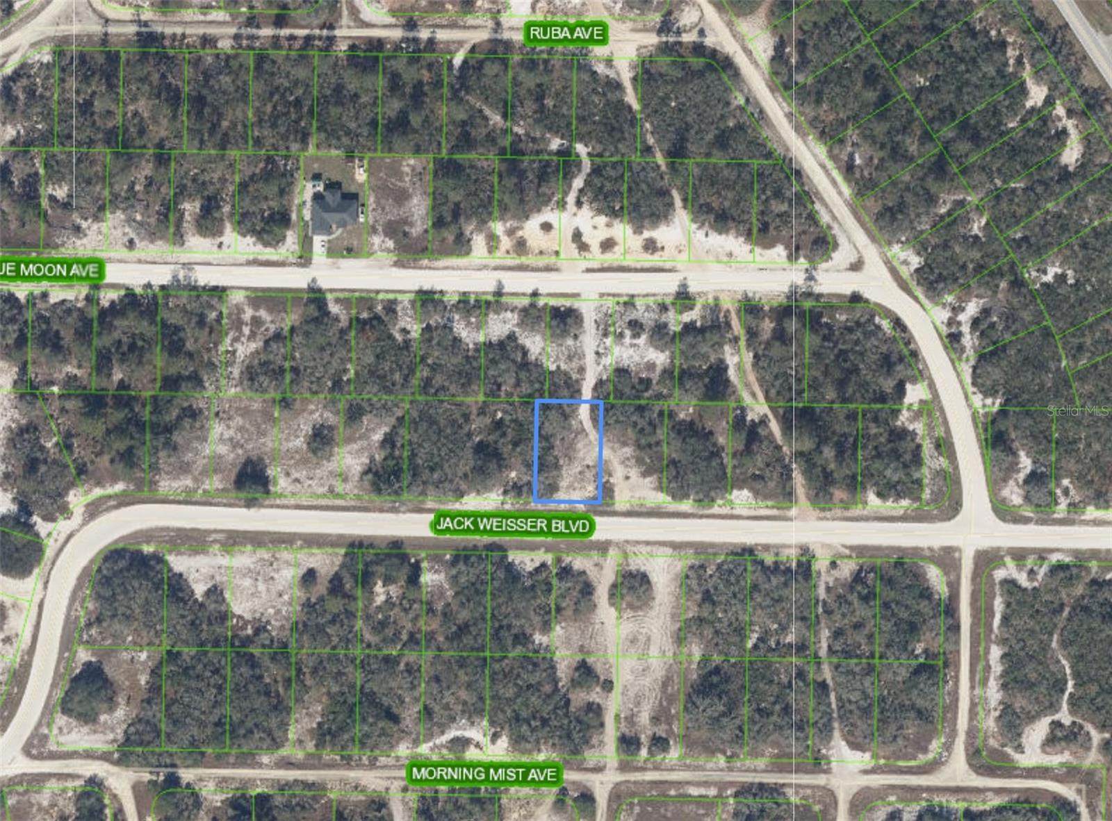 462 JACK WEISSER BLVD, LAKE PLACID, FL — photo 2
