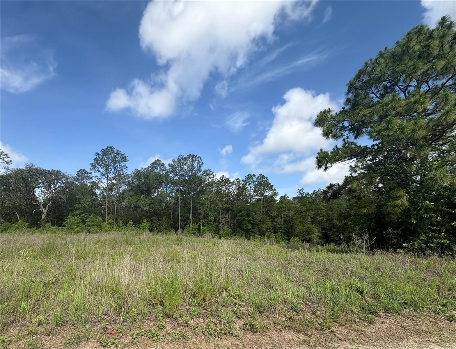 TBD SW 152 CT, OCALA, FL