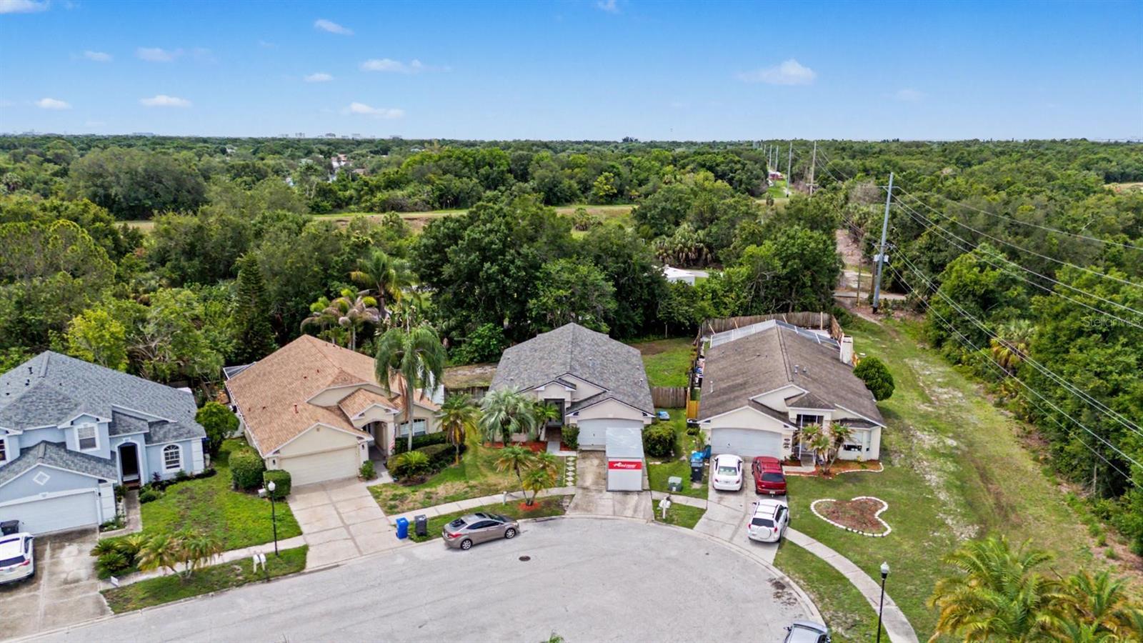 10238 CHARLESTON CORNER RD, TAMPA, FL — photo 5