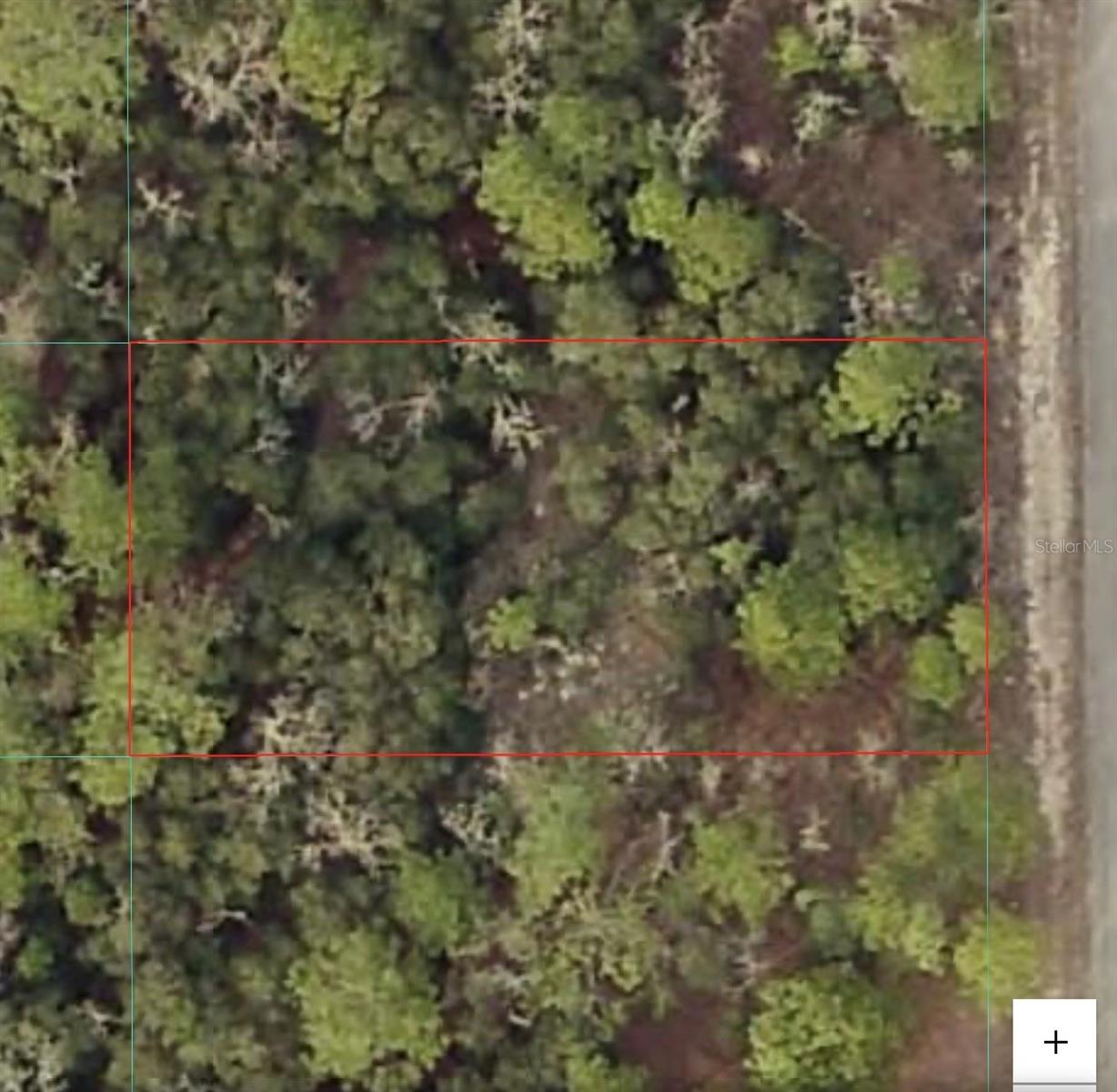 TBD SW SEAWEED AVE, DUNNELLON, FL