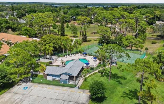 2461 BENTLEY DR, PALM HARBOR, FL — photo 20