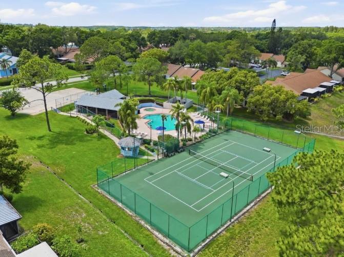 2461 BENTLEY DR, PALM HARBOR, FL — photo 21