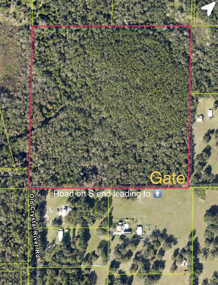 OLD CRYSTAL RIVER RD, BROOKSVILLE, FL — photo 3