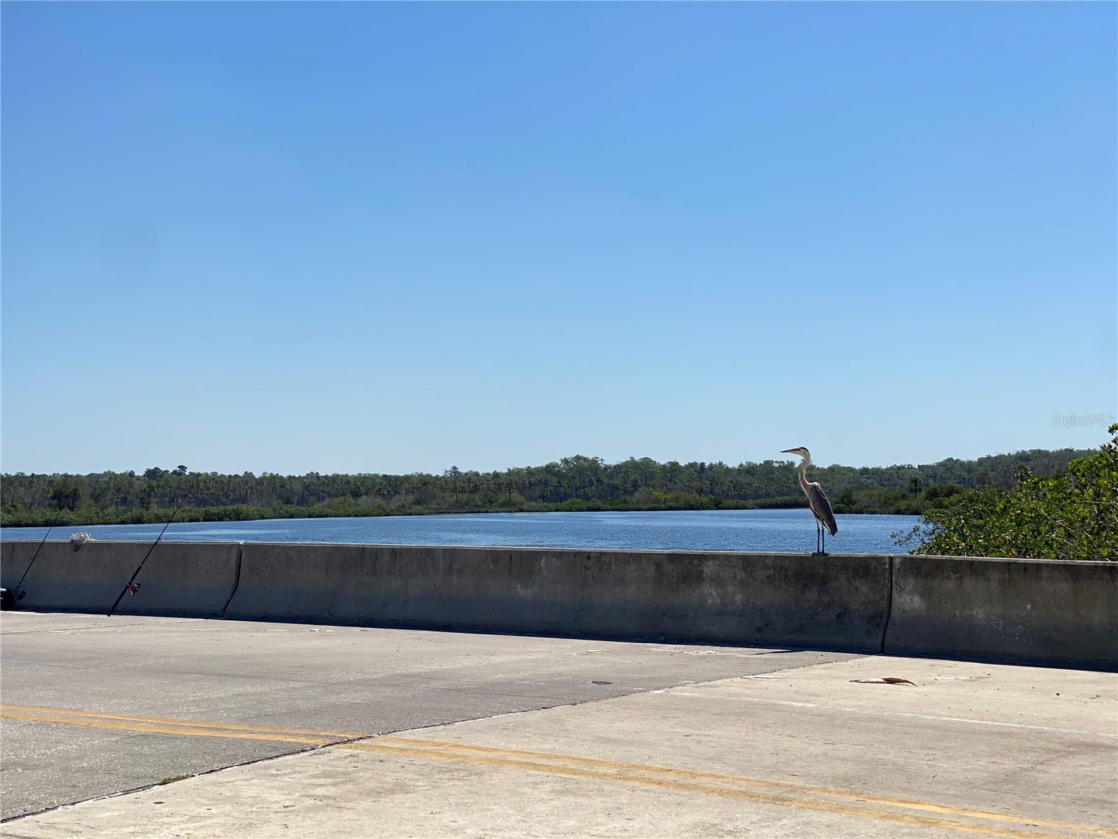 1578 INDIAN BAY RD, SPRING HILL, FL — photo 45