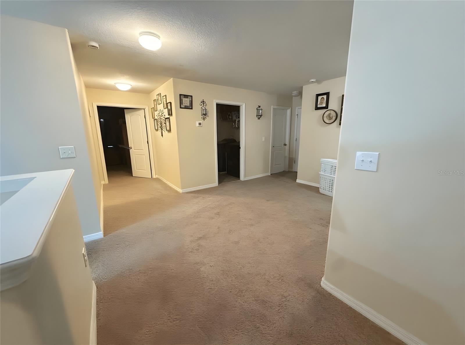 12109 ECHO BASIN CV, RIVERVIEW, FL — photo 24