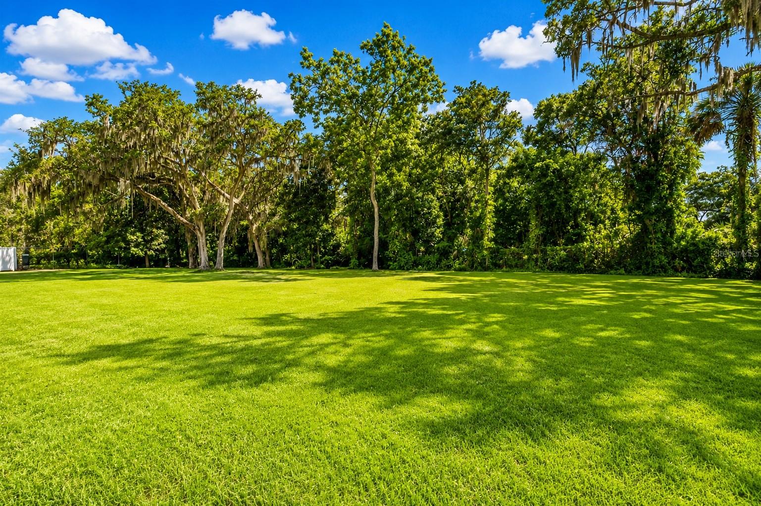 RIVERVIEW DR, RIVERVIEW, FL — photo 5