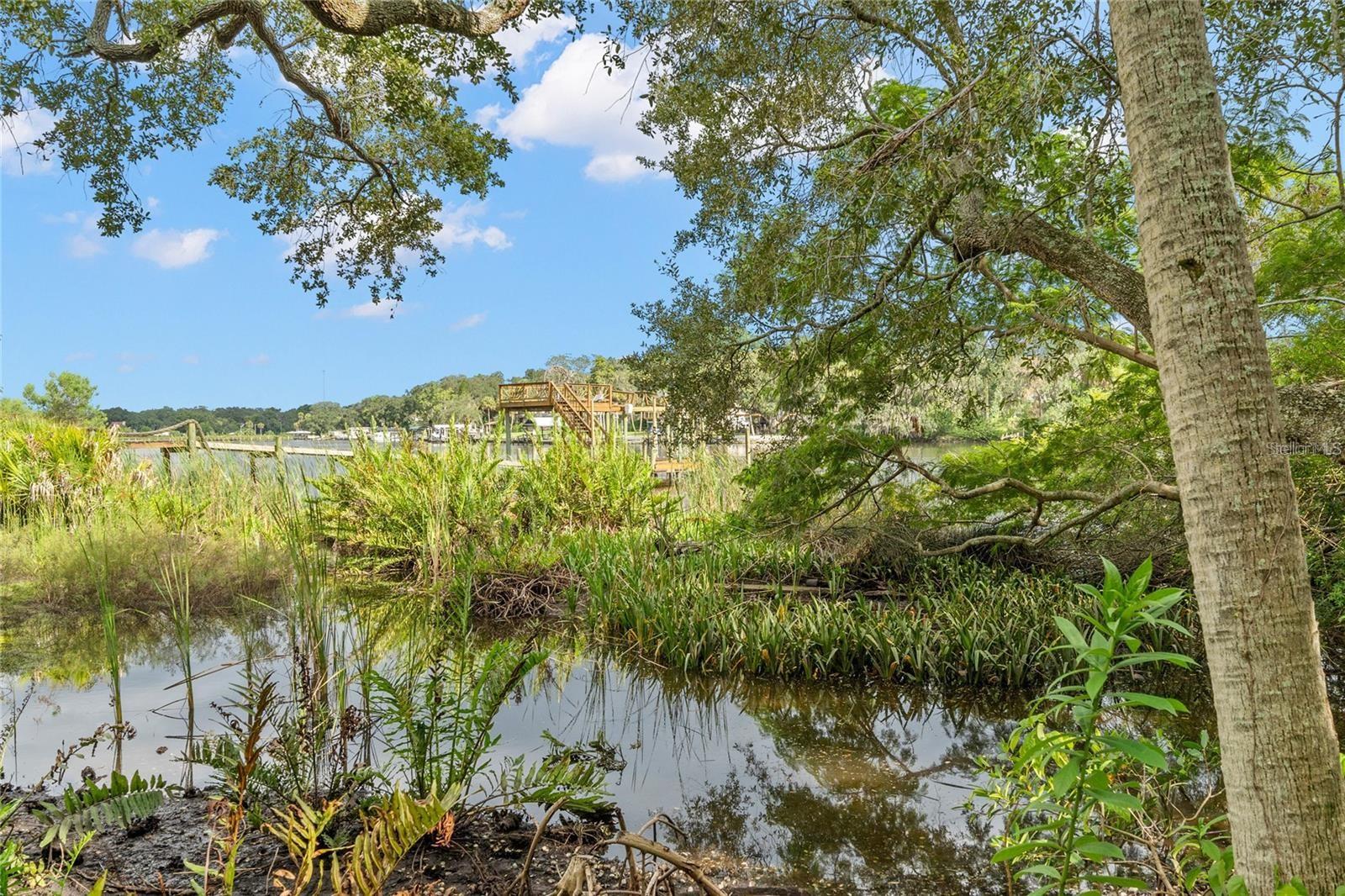 RIVERVIEW DR, RIVERVIEW, FL — photo 9