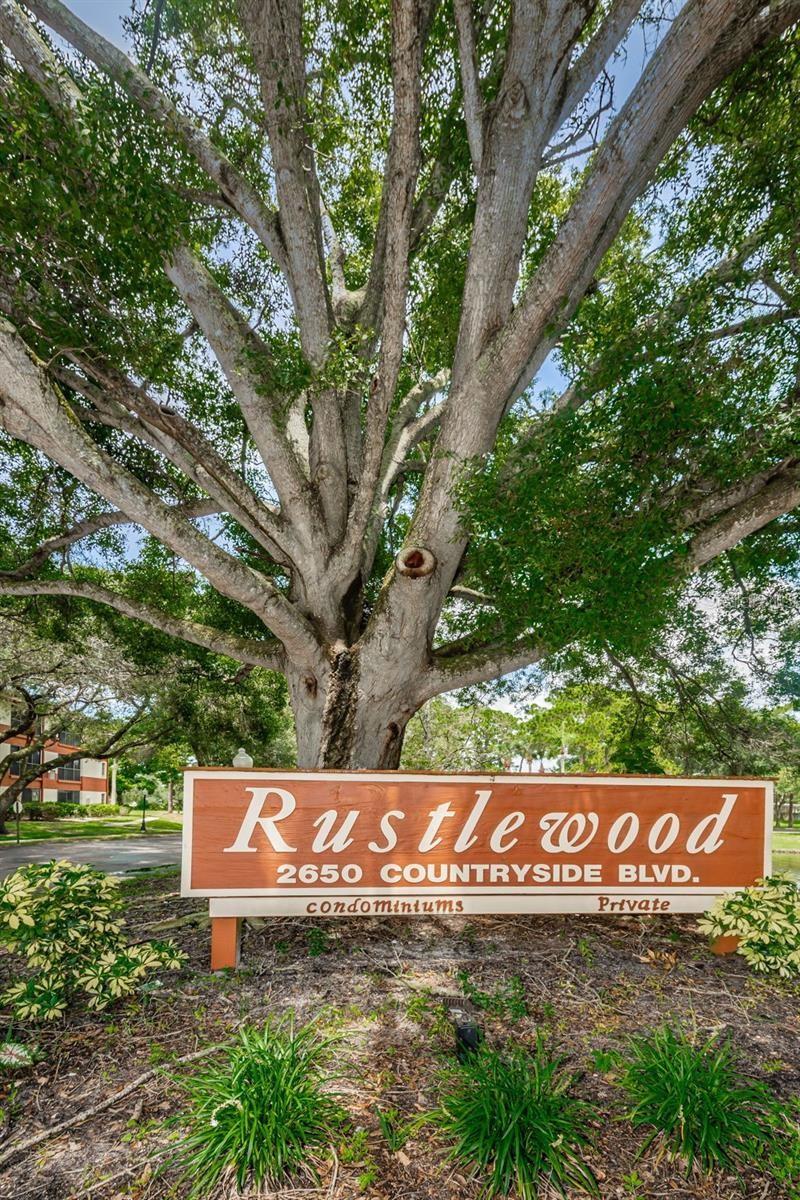 2650 COUNTRYSIDE BLVD #F110, CLEARWATER, FL — photo 17