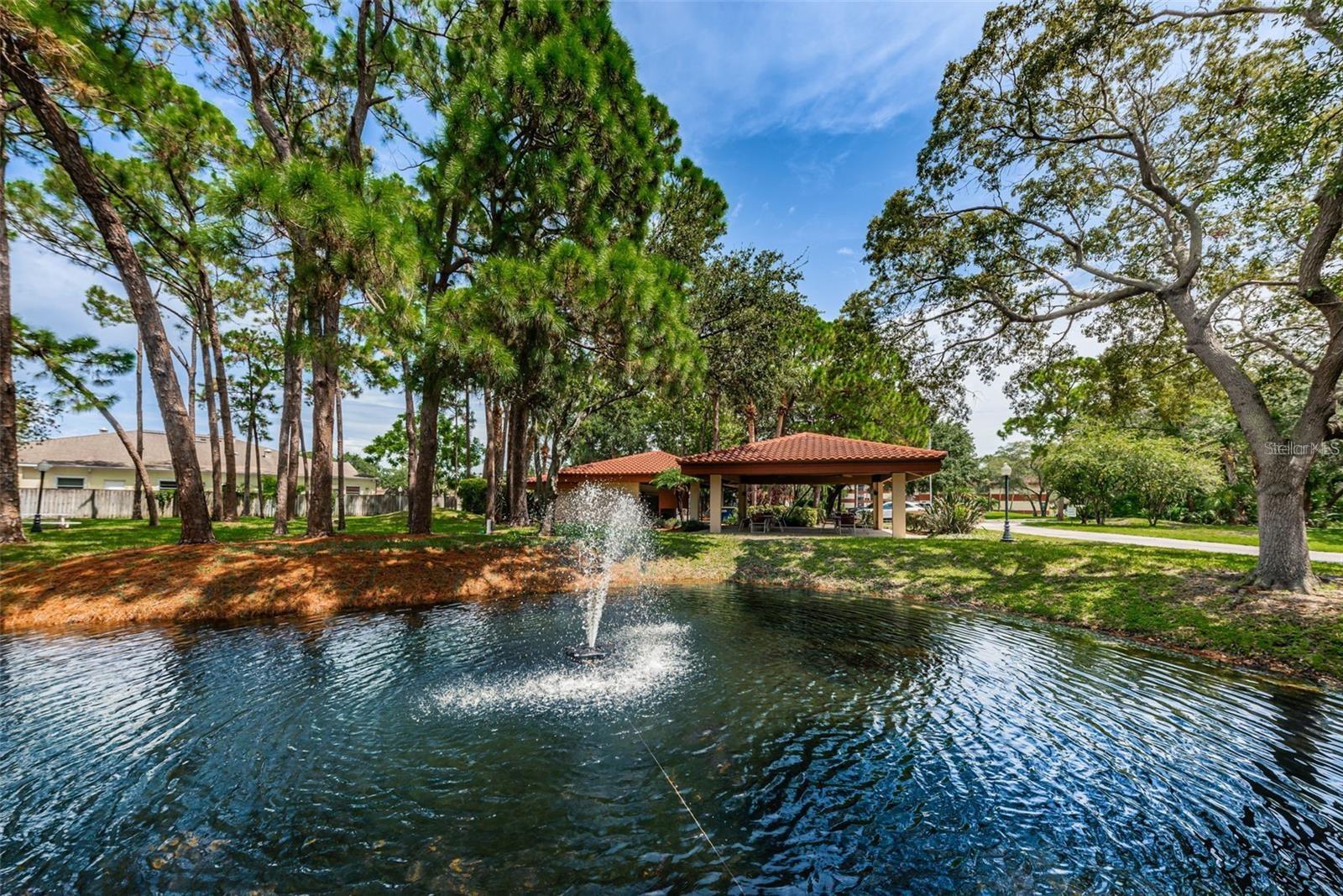 2650 COUNTRYSIDE BLVD #F110, CLEARWATER, FL — photo 19
