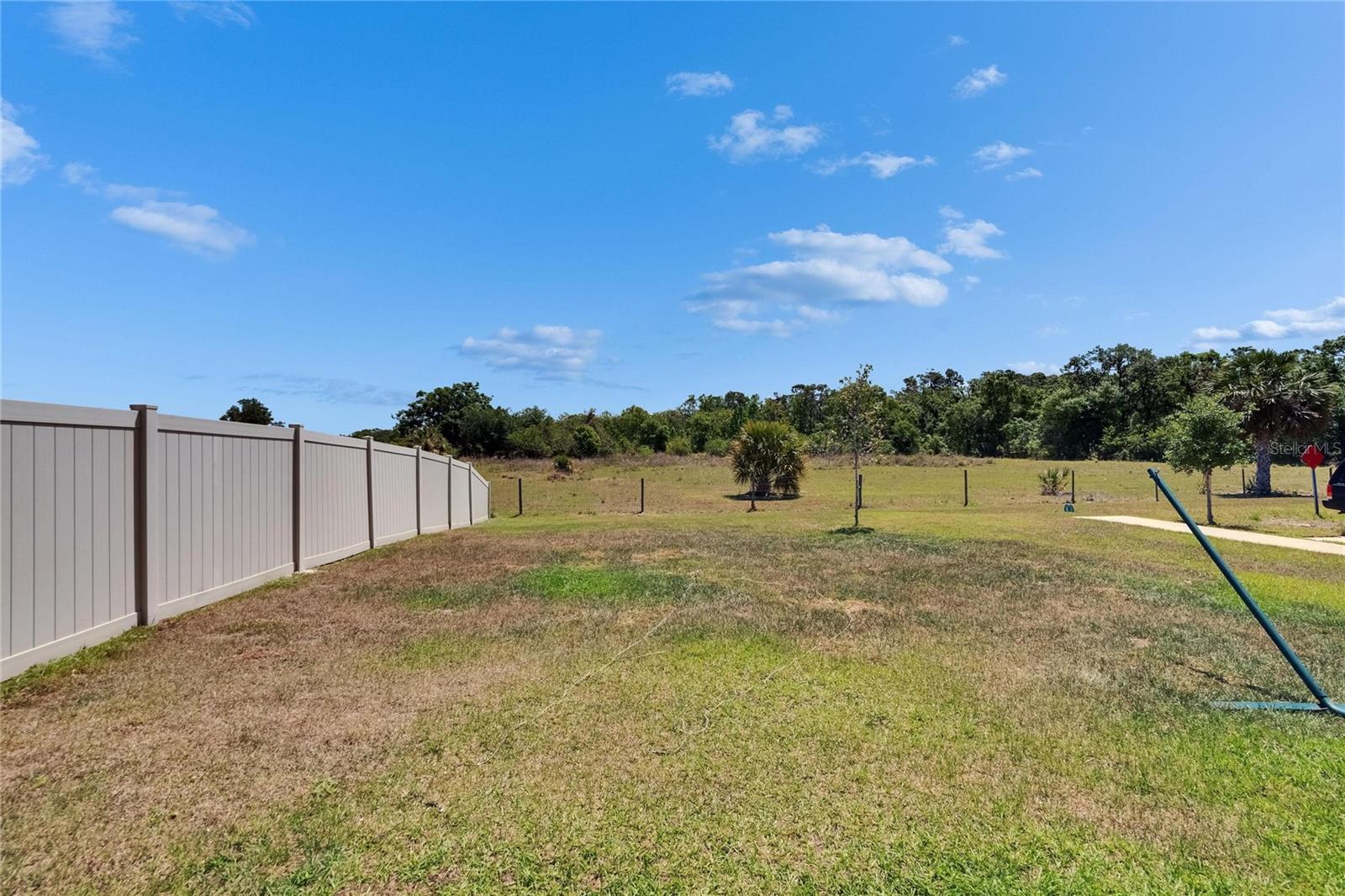 16894 DELIA ST, WIMAUMA, FL — photo 44