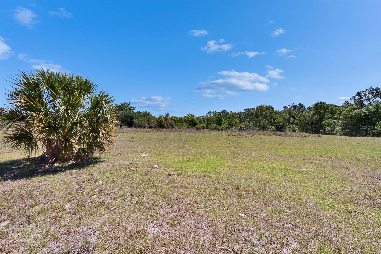 16894 DELIA ST, WIMAUMA, FL — photo 45