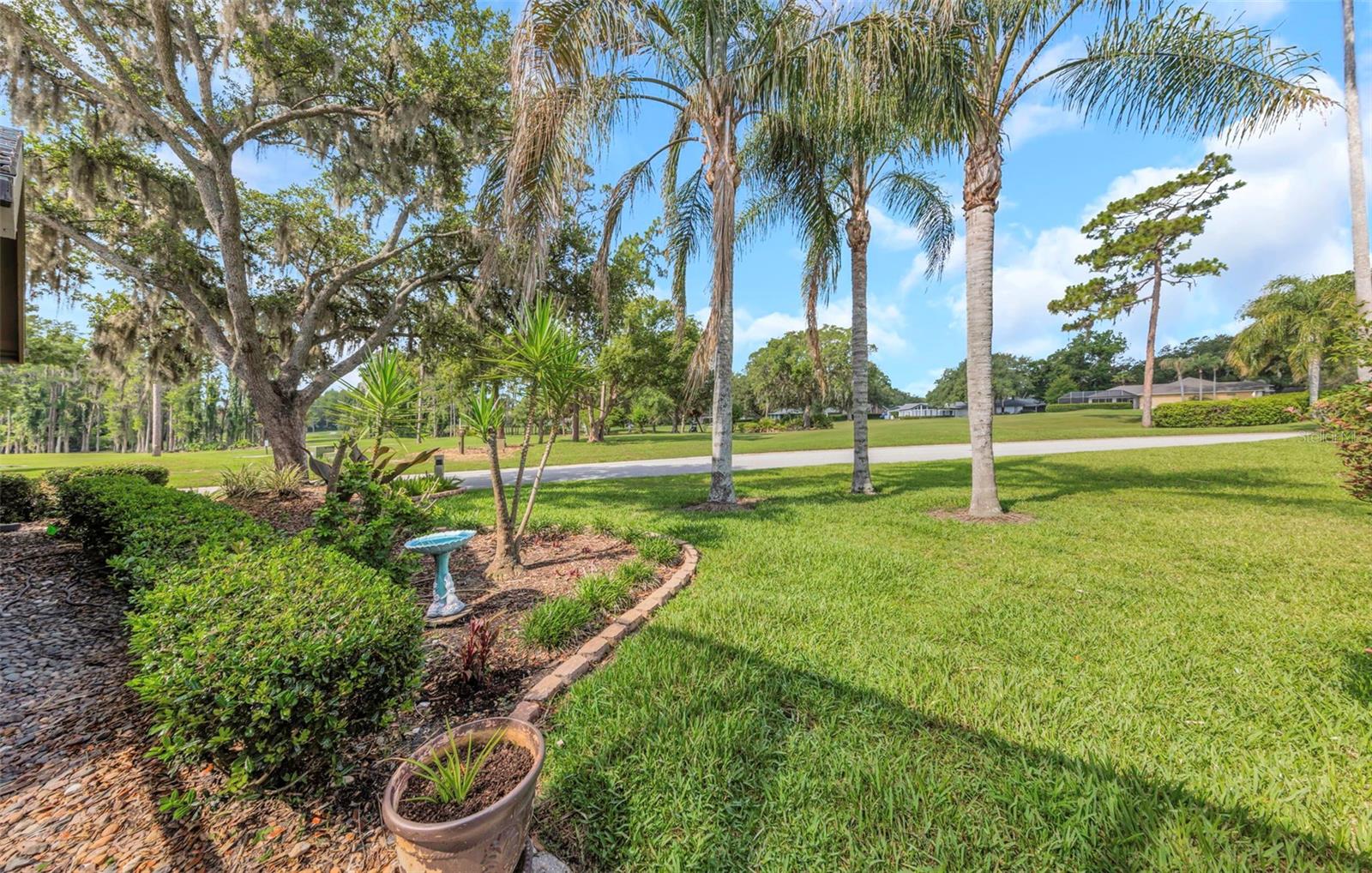5331 SAND CRANE CT, WESLEY CHAPEL, FL — photo 62