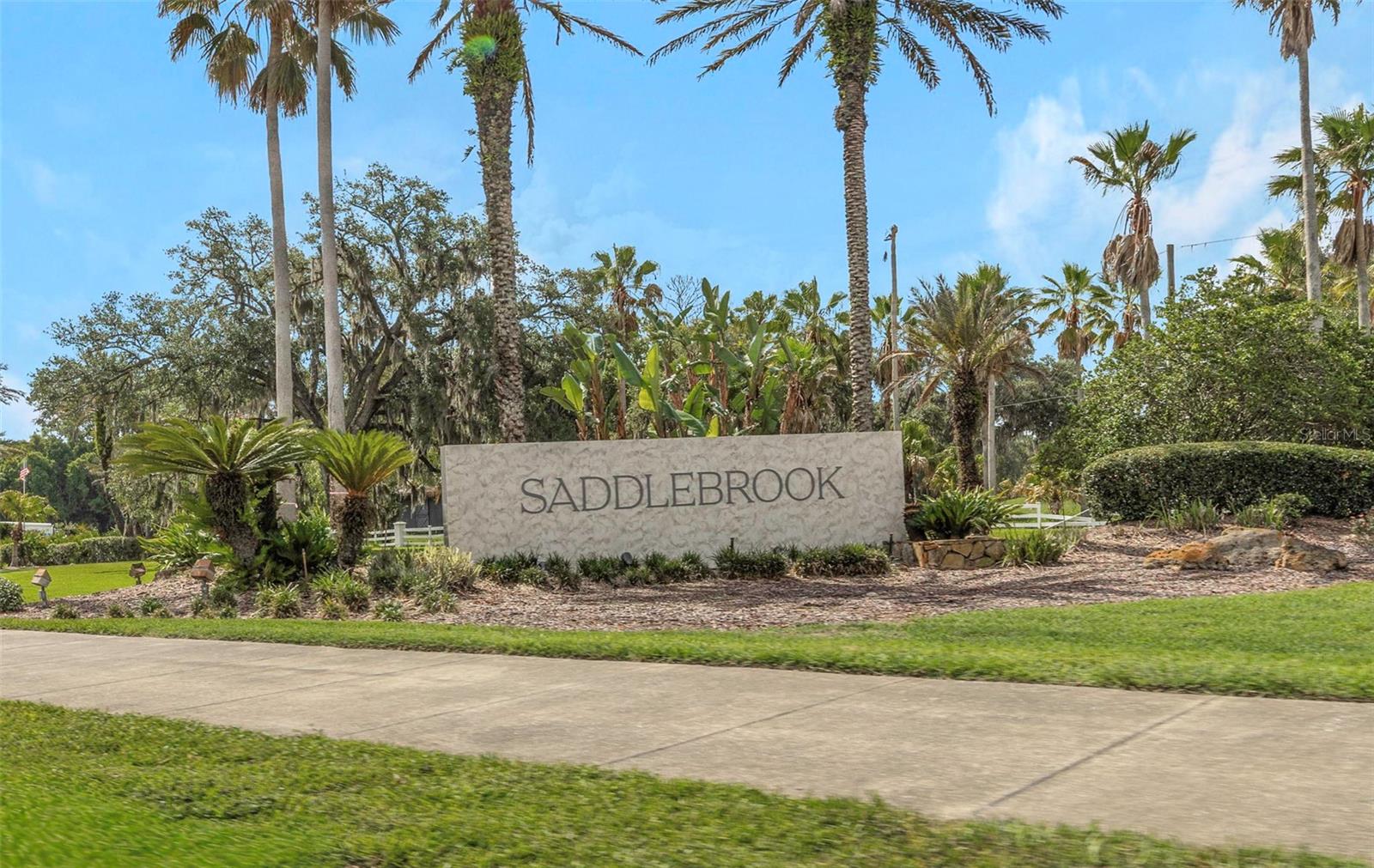 5331 SAND CRANE CT, WESLEY CHAPEL, FL — photo 89