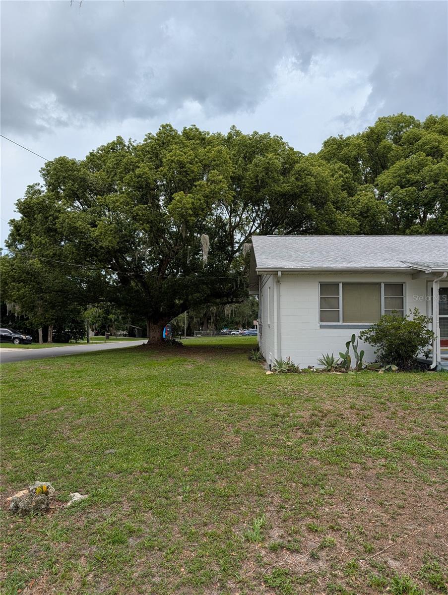11240 SE 53RD CT, BELLEVIEW, FL — photo 5