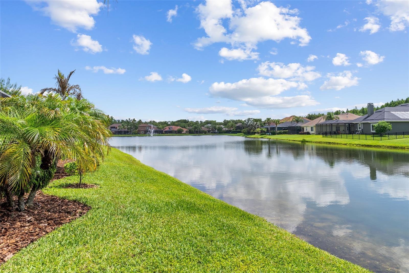 1536 ABYSS DR, ODESSA, FL — photo 49