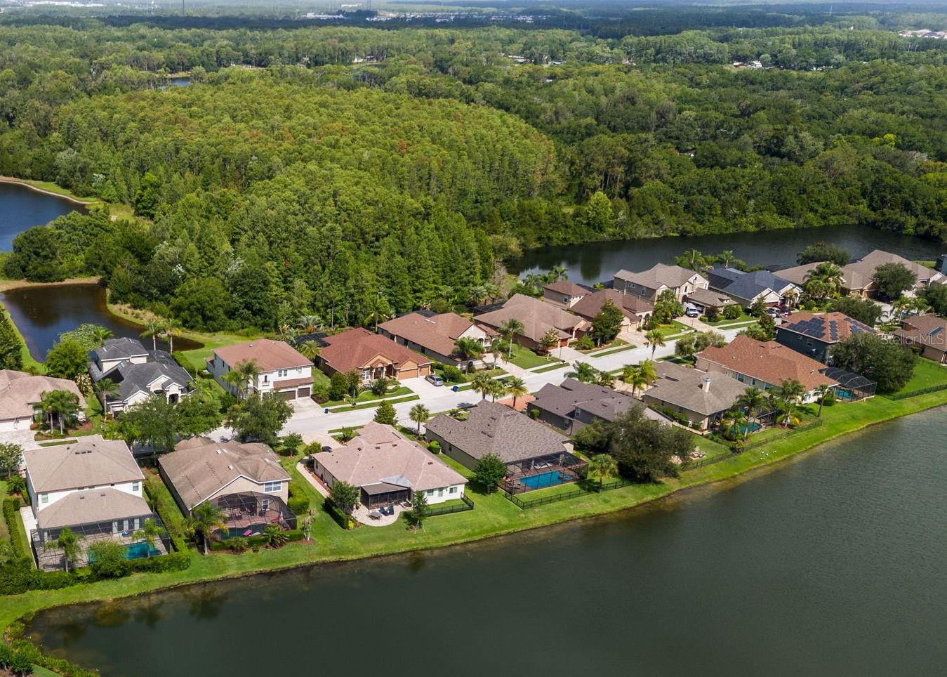 1536 ABYSS DR, ODESSA, FL — photo 50