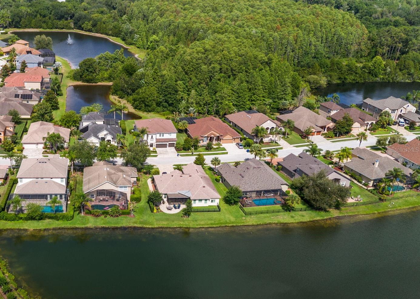 1536 ABYSS DR, ODESSA, FL — photo 51