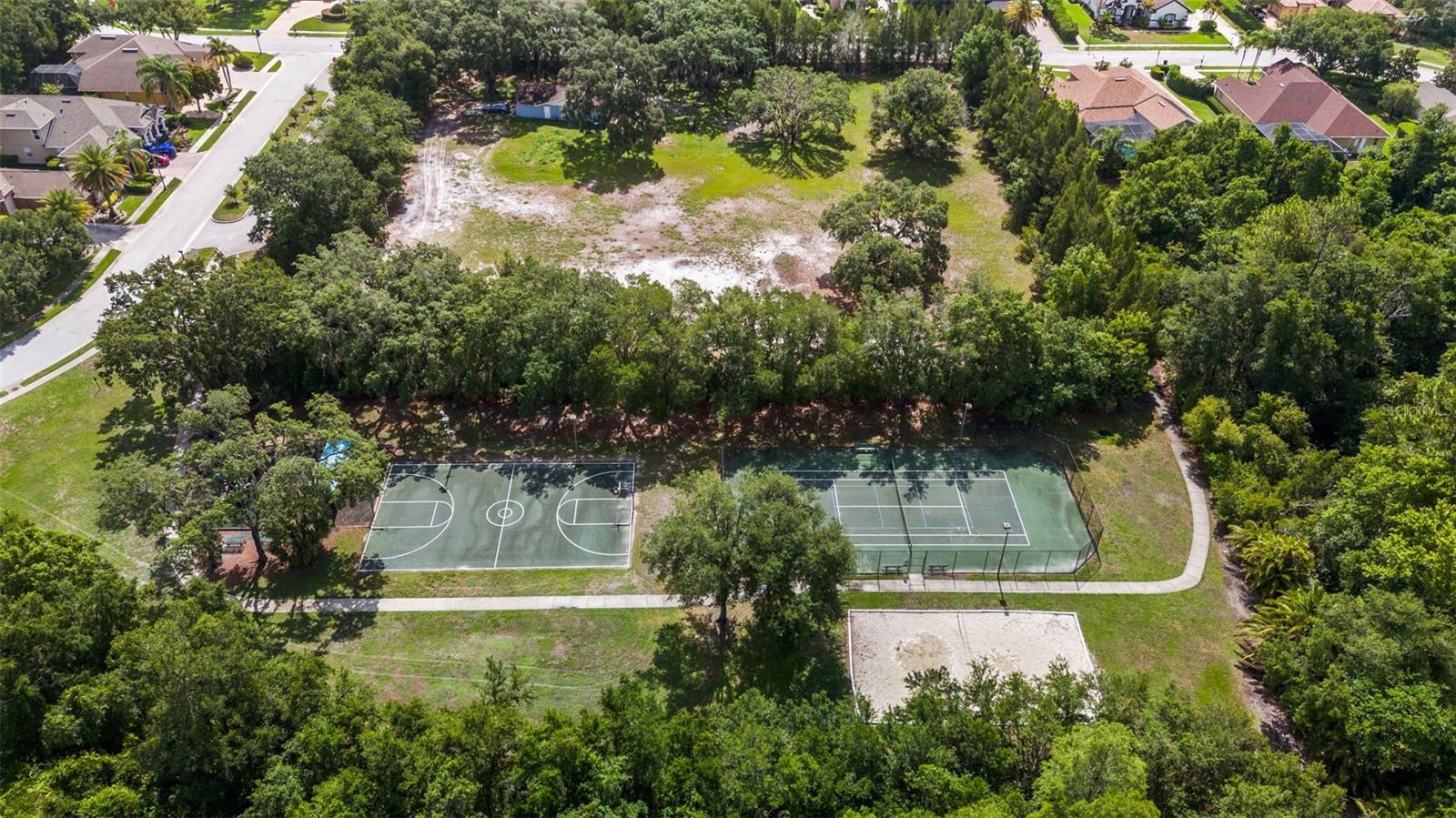 1536 ABYSS DR, ODESSA, FL — photo 52