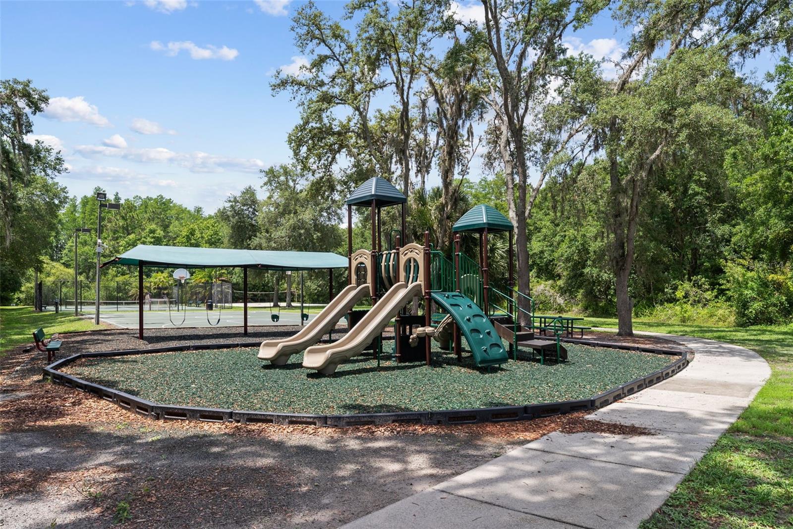 1536 ABYSS DR, ODESSA, FL — photo 54