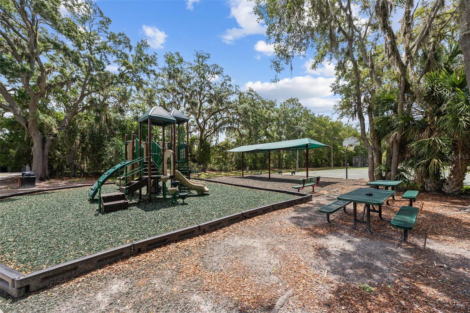 1536 ABYSS DR, ODESSA, FL — photo 55