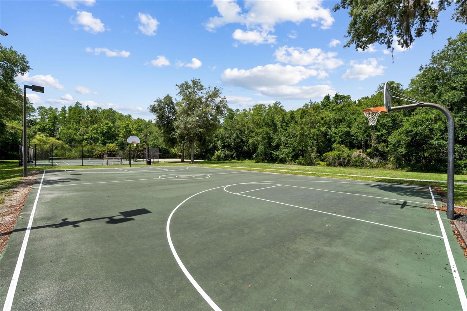 1536 ABYSS DR, ODESSA, FL — photo 56