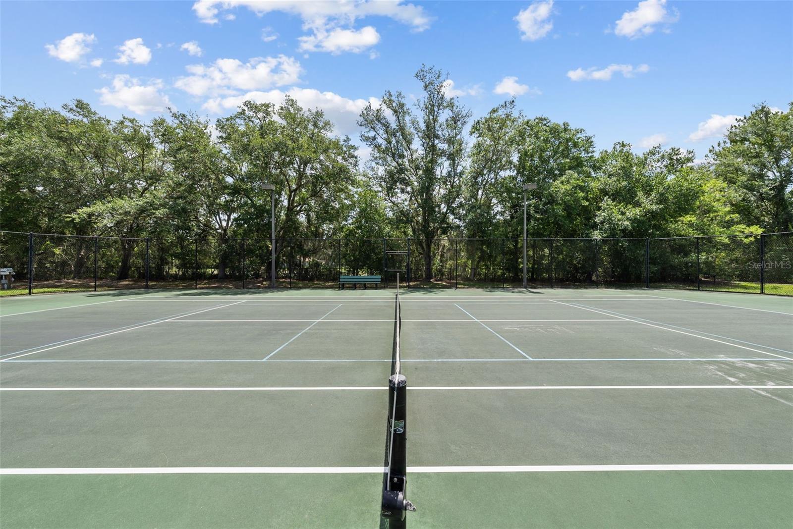 1536 ABYSS DR, ODESSA, FL — photo 58