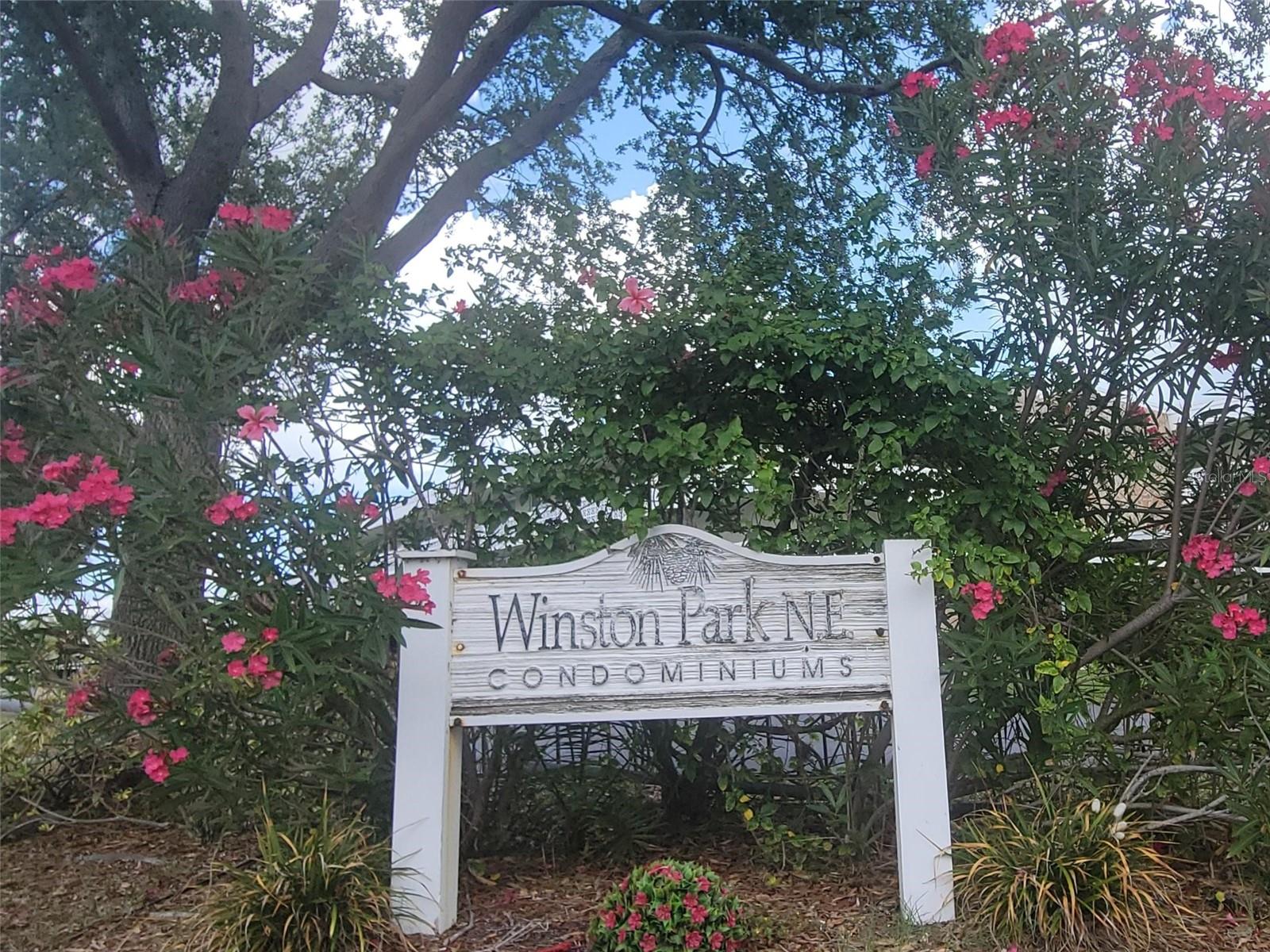 4890 BAY ST NE #336, ST PETERSBURG, FL — photo 23
